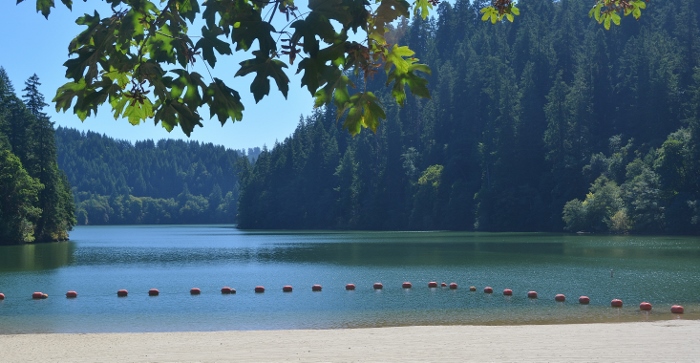 Loon Lake